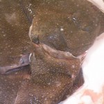 120301_131108 120301_131108.jpg