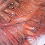 120301_131120 120301_131120.jpg