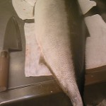 120303_094533 120303_094533.jpg