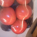 120307_110851 120307_110851.jpg