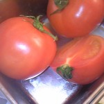 120307_110904 120307_110904.jpg