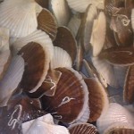 120317_092704 120317_092704.jpg