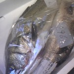 120319_091133 120319_091133.jpg