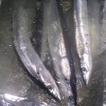 120717_084725 120717_084725.jpg