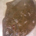 120901_100843 120901_100843.jpg